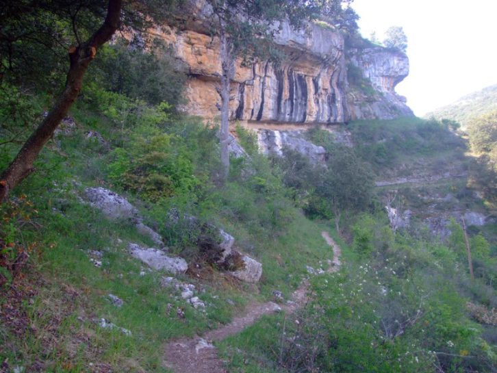 Los Alrededores