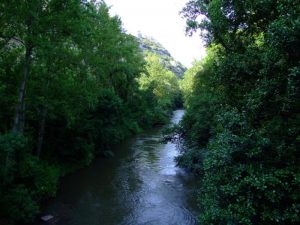 Los Alrededores