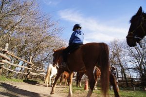Caballos de Ailanes