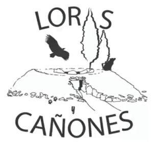 Loras y Cañones